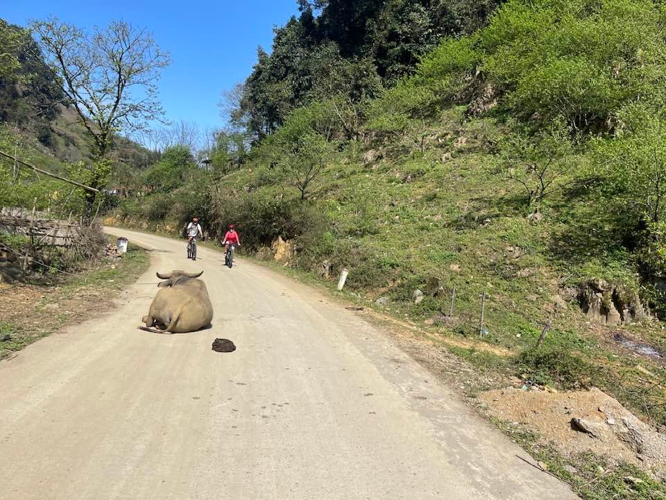 Vietnam Biking Tour Red River Delta 4 Days